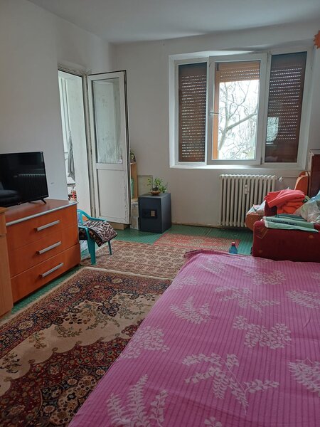 Crangasi, Vintila Mihailescu,