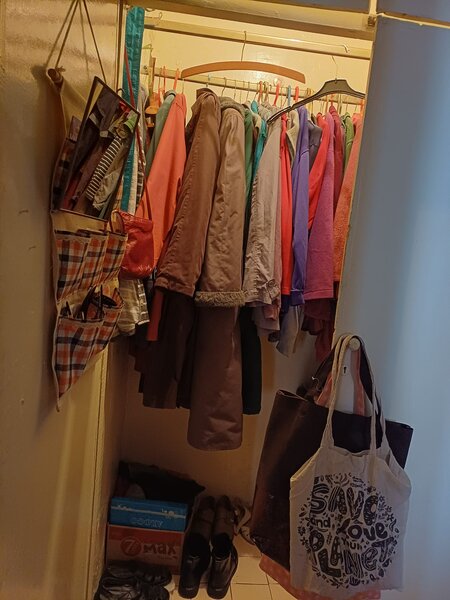 Crangasi, Vintila Mihailescu,