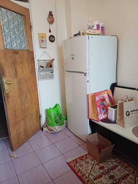 Crangasi, Vintila Mihailescu,