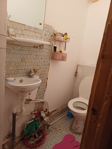 Crangasi, Vintila Mihailescu,