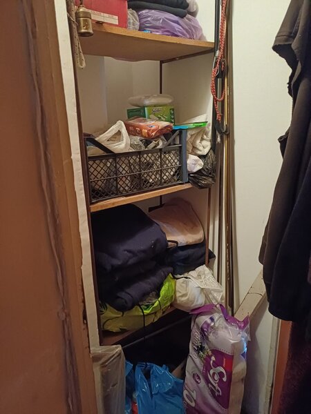 Crangasi, Vintila Mihailescu,