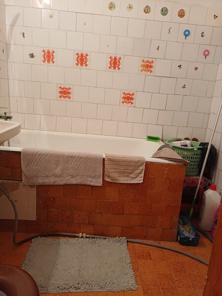 Crangasi, Vintila Mihailescu,