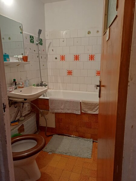 Crangasi, Vintila Mihailescu,