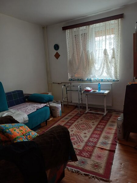 Crangasi, Vintila Mihailescu,