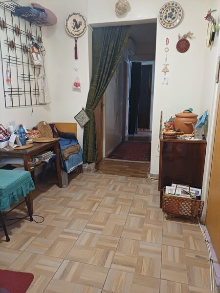 Crangasi, Vintila Mihailescu,