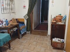 Crangasi, Vintila Mihailescu